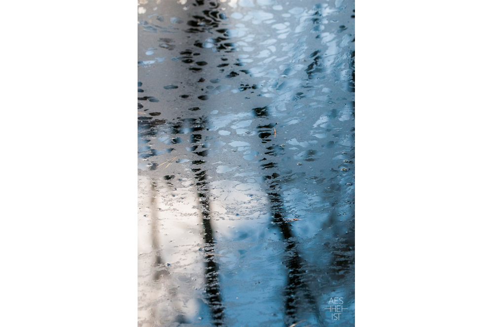 Baum, Wolke und blauer Himmel spiegelt sich im moorigen Wasser