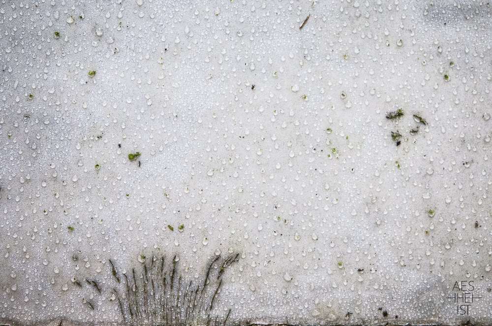 dewdrops on a sign with crack, looking like tuft of gras