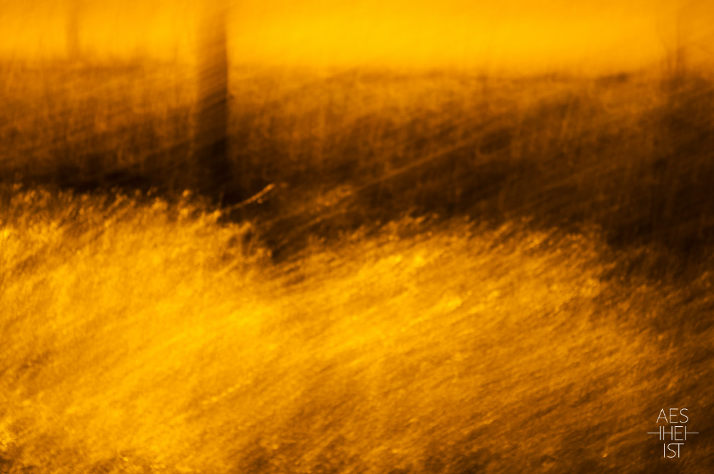 blurred night-time landscape, colored in orange by street lighting