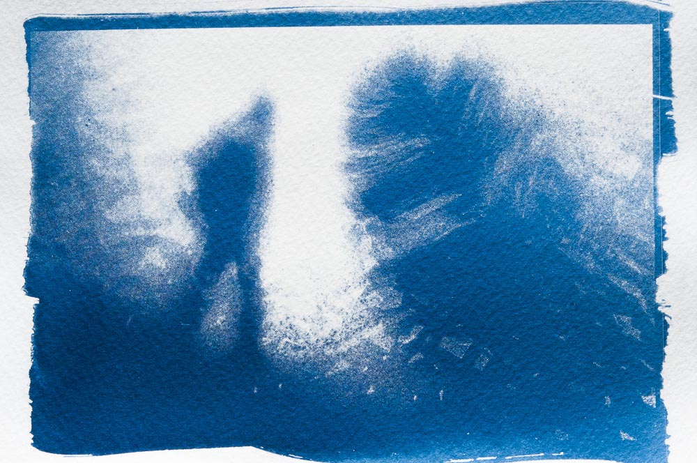 Cyanotype: impressionist photo with fir branch and model railroad figure