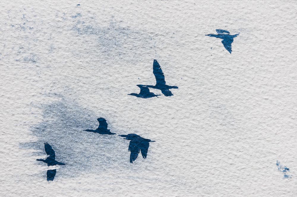 Cyanotype: birds in front of clouds