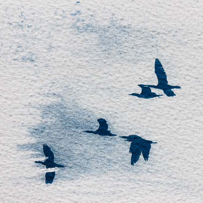 Cyanotype: birds in front of clouds