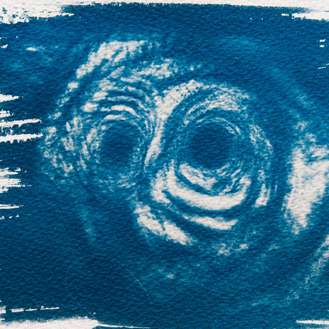 Cyanotype: root face - experimental developement by moving the photo