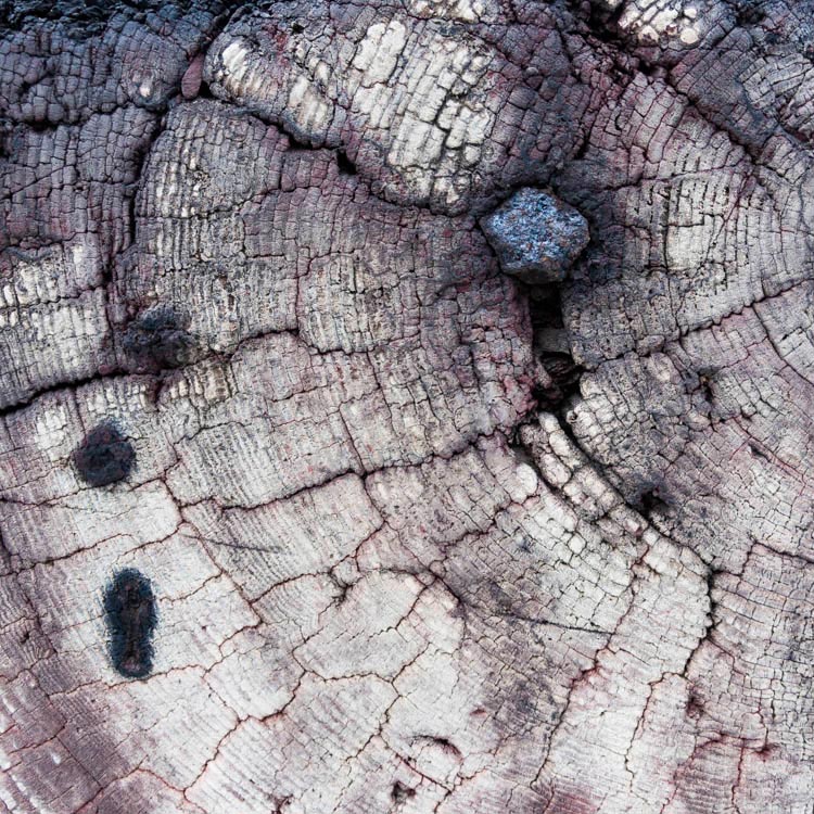 detail of a beam with an old nail